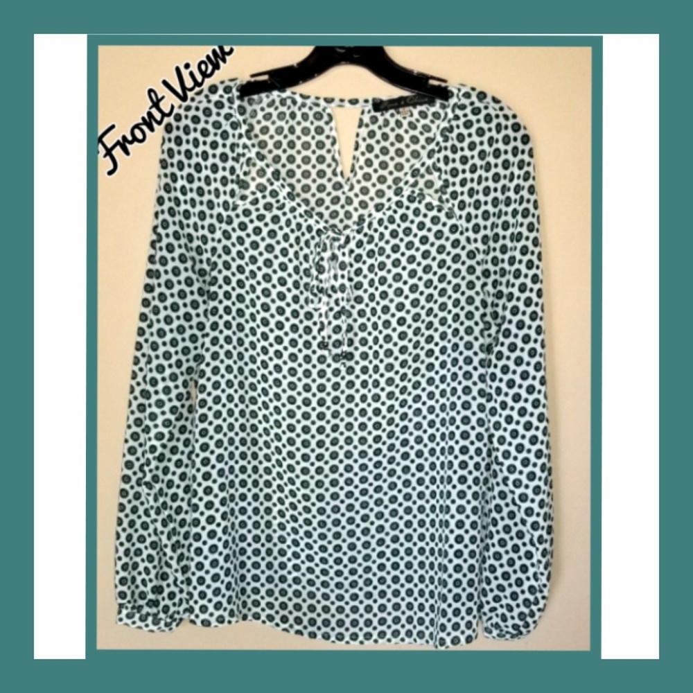 Rose & Olive Sheer Tunic